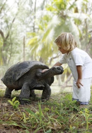 TANZANIA